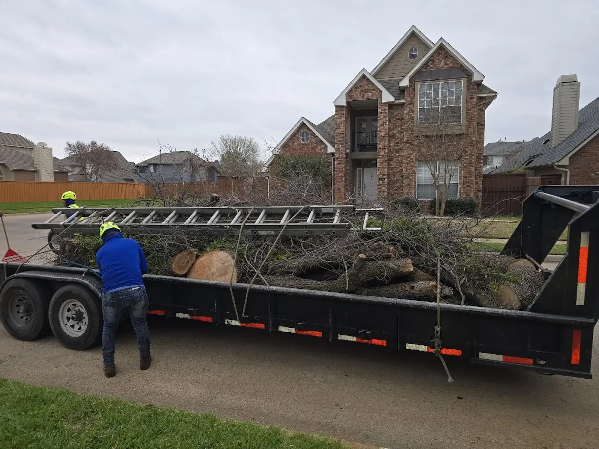 Expert Tree Removal with proper safety equipment in Monroeton